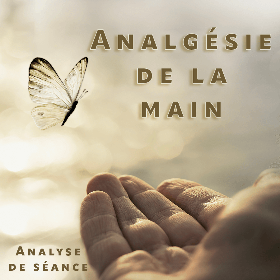 Analyse de séance - Analgésie de la main